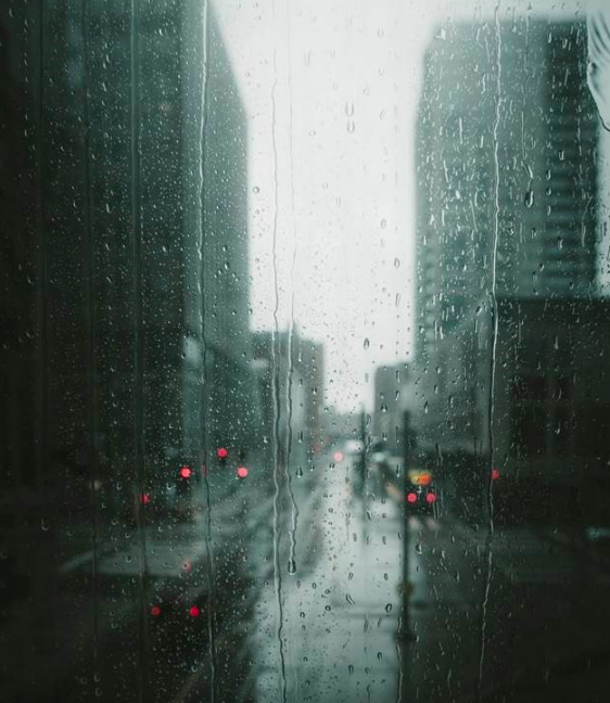 One Rainy Friday in the Time of the Wuhan Virus